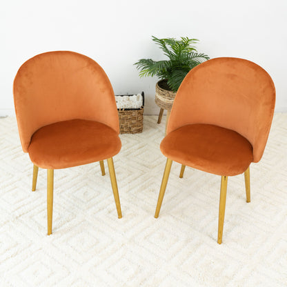 Marion - Mid Century Modern Dining Chair (Set of 2)