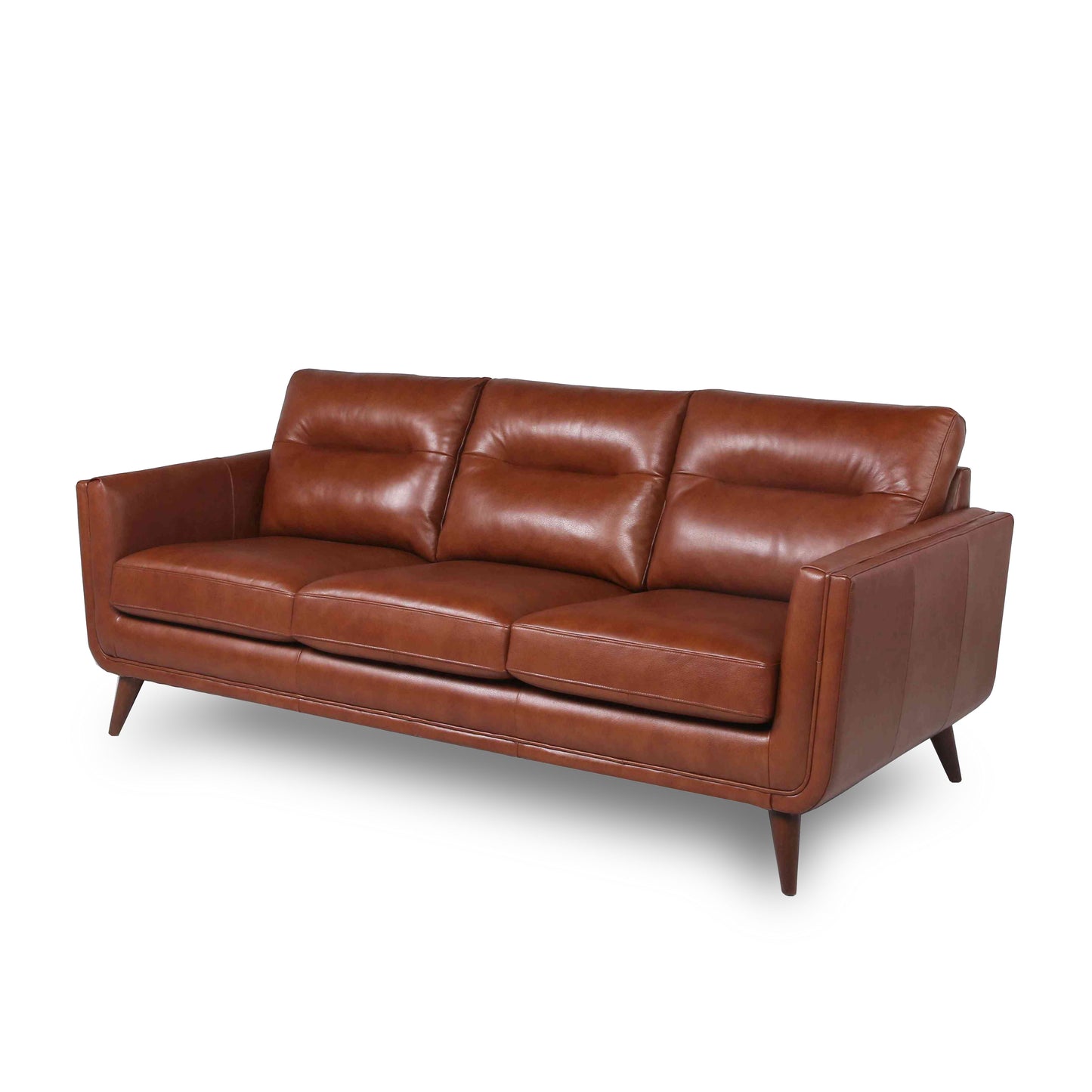 Mid-Century Leather Sofa