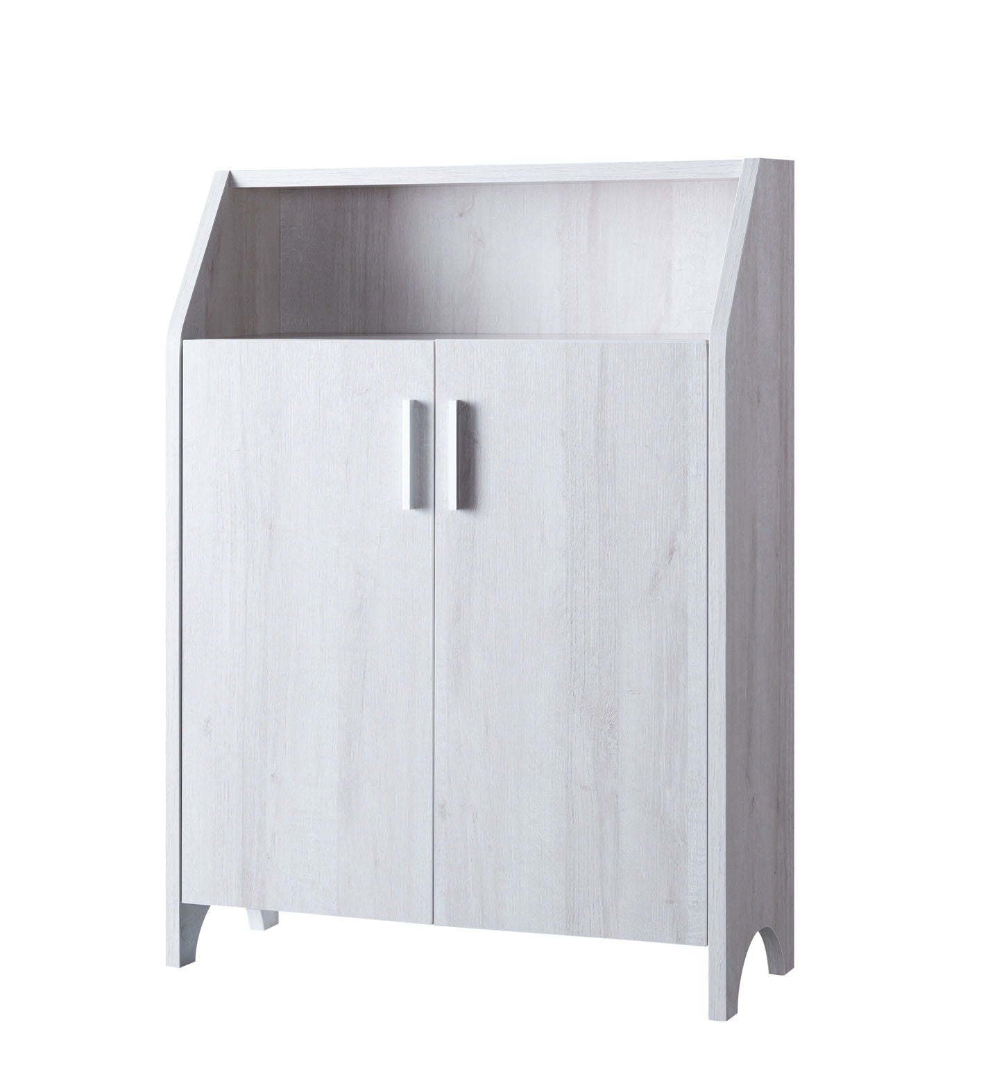 Modern Shoe / Storage Cabinet Two Door With 4 Shelves