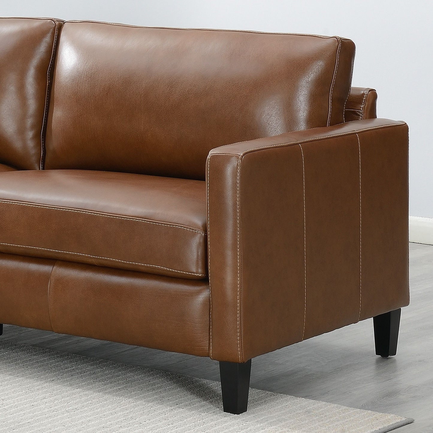 Modern & Contemporary Leather Sofa